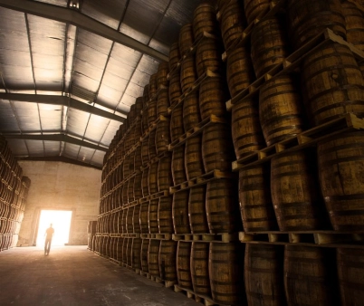 Historie a výroba rumu