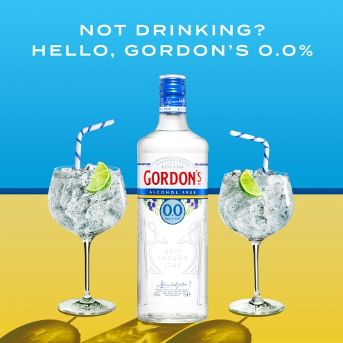 Gordon's Alcohol free 0,7 L  6