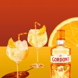 Gordon's Mediterranean Orange Gin 0,7 L 37,5% 3