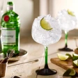 Tanqueray London Dry Gin 0,7 L 43,1%  26